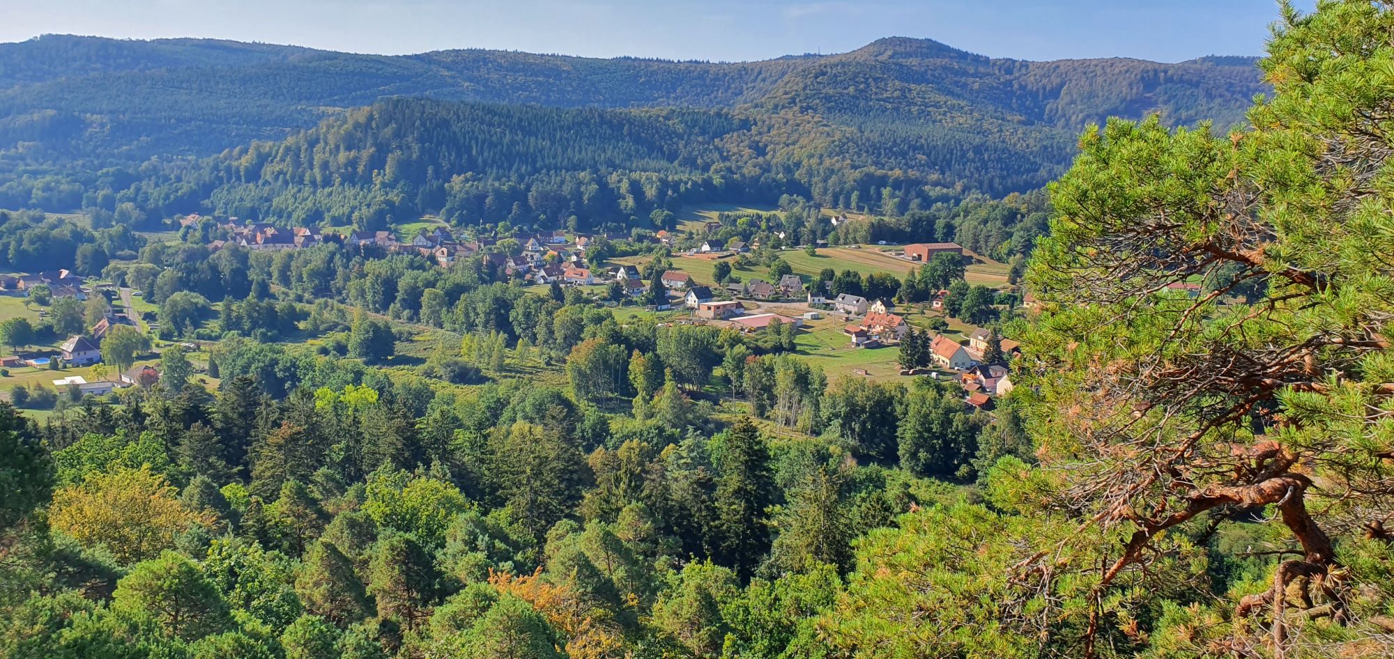 vue vallée dambach